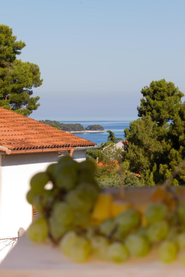 Studio Apartman Nega 2 Rovinj Exterior foto