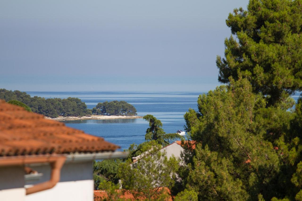 Studio Apartman Nega 2 Rovinj Exterior foto
